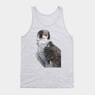 The Guardian - Peregrine Falcon with black background Tank Top